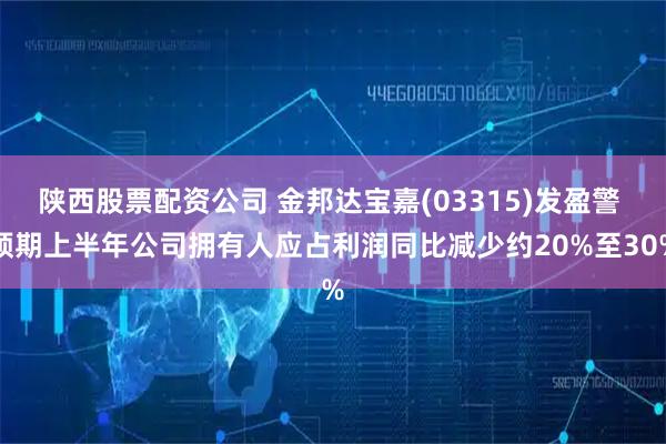 陕西股票配资公司 金邦达宝嘉(03315)发盈警 预期上半年公司拥有人应占利润同比减少约20%至30%